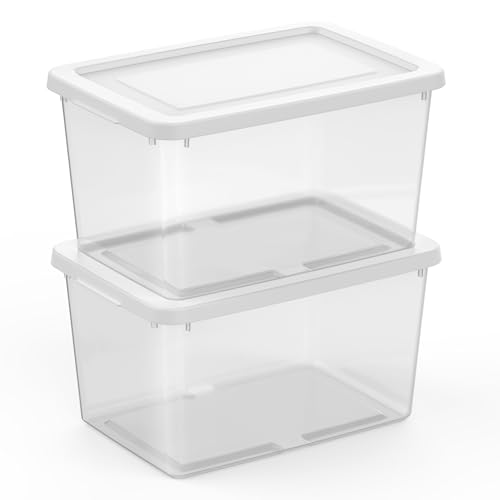 Sterilite 12 Pack Storage Boxes, Clear Plastic Stackable Containers, Lightweight Home Organizers with Snap Lids, 20 Quart, White - size: 20 Quart, style: 12 Pack