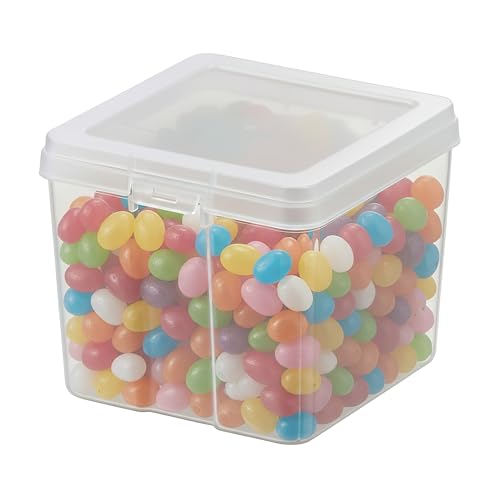 IRIS USA Food Storage Containers with Flip-Top Lid, 1.3 Qt - 10 Pack, Clear Stackable Food Containers for Kitchen & Pantry Organization, BPA-Free, Food Grade Plastic For Flour, Sugar, Dry Food, Grain - size: Food Grade Small - 10 Pack