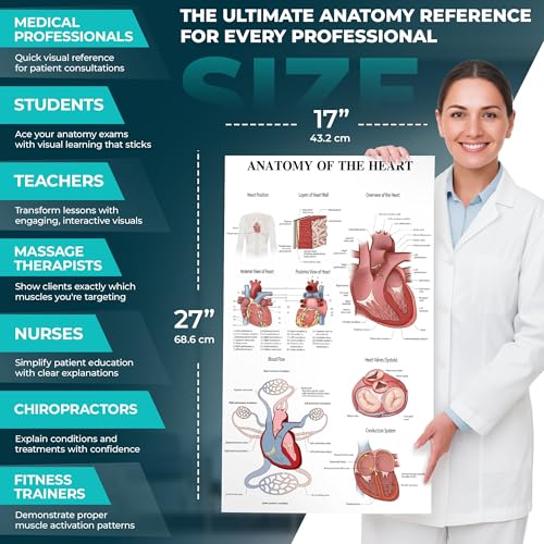 12-Pack Laminated Anatomy Posters for Wall – Educational Human Body Systems Charts for Students, Classrooms & Medical Office Decor - Includes Muscular, Skeletal, Nervous & More, Size 17”x27”
