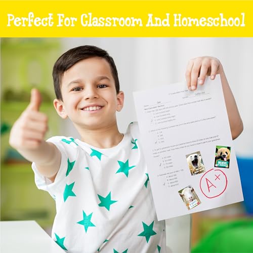 510 PCS Funny Incentive Stickers, 30 Designs Motivational Positive Stickers, Hilarious Animals Rectangular Reward Labels, Positive Encouragement Chart Decor for Kids, Teachers, Classroom, Office - style: Rectangle-A