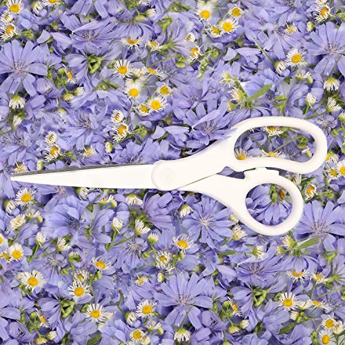 JAM PAPER Multi-Purpose Precision Scissors - 8 Inch - White - Ergonomic Handle & Stainless Steel Blades - Sold Individually - color: White, size: Standard (8 Inch)