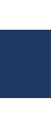 LUXPaper 11" x 17" Cardstock | Tabloid Size | Navy Blue | 100lb. Cover | 50 Qty - color: 100lb. Navy