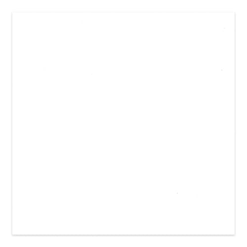 White 15x19 Uncut Premium Mat Board - No Opening - 1 Mat - color: White, size: 1 Mat
