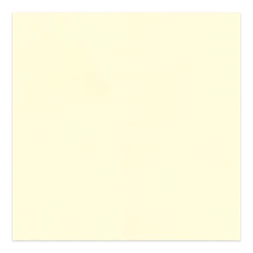 Off White 15x19 Uncut Premium Mat Board - No Opening - 1 Mat - color: Off-White, size: 1 Mat