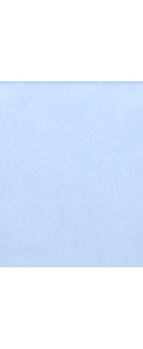 LUXPaper 11" x 17" Cardstock | Tabloid Size | Baby Blue | 100lb. Cover | 50 Qty - color: 100lb. Baby Blue