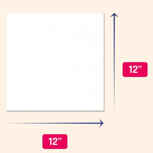 25 Pieces, (110 lb/300 gsm) - White Cardstock 12 x 12, Large Heavy Thick Card Stock Paper, Heavyweight 12x12 - color: White, size: 12 x 12 inches (25 Sheets)