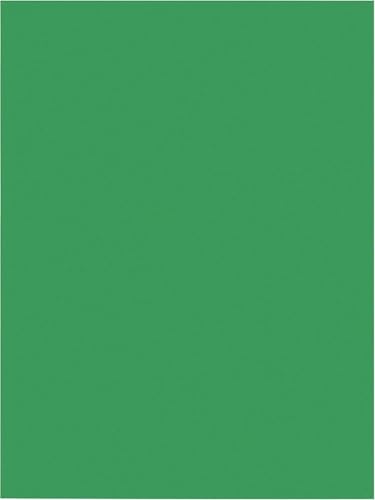 A4 Paper Craft 2 Bright Sheet Arts & Crafts Colorful Paper for School Projects Creating Making Drawing & DIY (Green) - color: Green