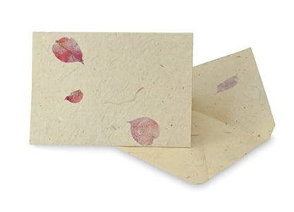 Kathmandu Valley Co. Nepali Cherish Greeting Card & Envelope Deluxe Box Set with Handmade Lokta Paper from Nepal, 25 Cards (Bougainvillea) - color: Bougainvillea, size: 25 Cards