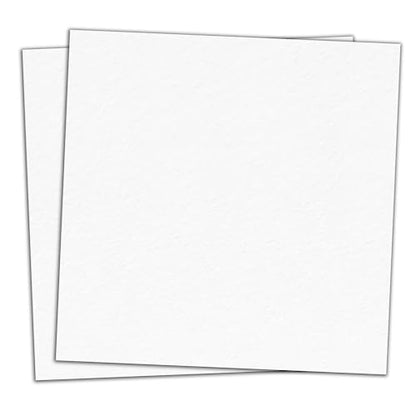 25 Pieces, (110 lb/300 gsm) - White Cardstock 12 x 12, Large Heavy Thick Card Stock Paper, Heavyweight 12x12 - color: White, size: 12 x 12 inches (25 Sheets)