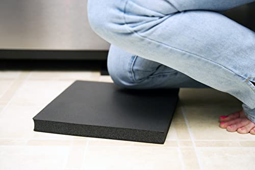 by Big UGGLY High-Density Foam Panels, Closed-Cell Insulation Foam Pads, Black, 12" X 12" X 1" (2 Pack)