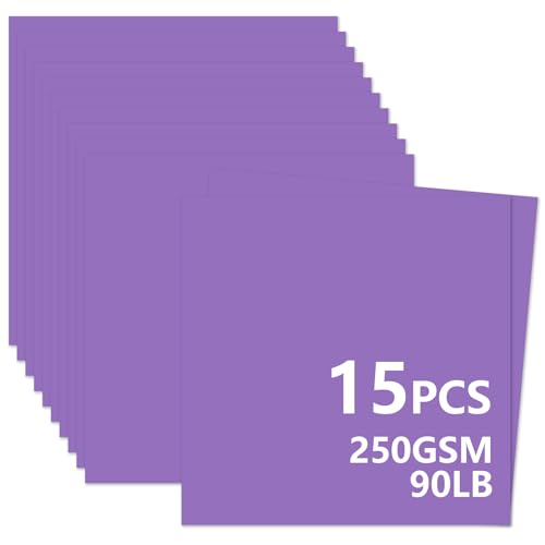 15 Sheets Purple Cardstock 12"x12",250gsm/90lb Heavyweight Cover Cardstock Paper, Thick and Smooth Card Stock Perfect for Card Making, Scrapbooking and Crafts (Purple) - color: Purple