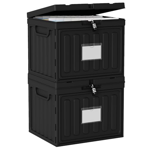 2 Drawer File Cabinets,Plastic File Box for Letter Size Hanging File Folders, Easy Carry Small File Cabinet for Home, Office, School,Stackable Storage Filling Box, Black - color: Black, size: 2 Pack
