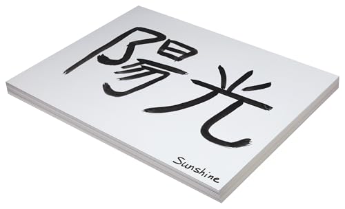 School Smart Pacon Heavyweight Tagboard, 18 x 24 Inches, 11 Pt, White, Pack of 100 (085498)