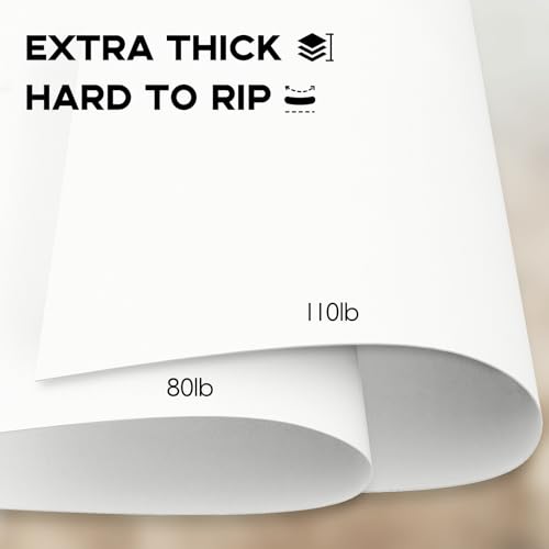 Heavy Weight 110lb Cover Cardstock White Certificate paper, Goefun 24 Pack White Card Stock 8.5x11 for Cards Making, Office Printing, Paper Crafting - color: White