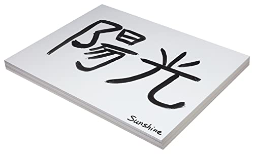 School Smart Pacon Heavyweight Tagboard, 18 x 24 Inches, 11 Pt, White, Pack of 100 (085498)