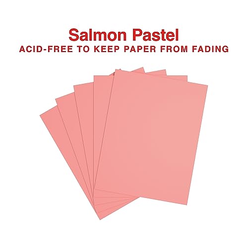 Staples Pastel Colored Copy Paper 8 1/2-Inch X 11-Inch Salmon 500/Ream, For Office, School & Home - style: Salmon