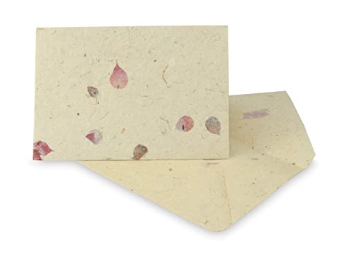 Kathmandu Valley Co. Nepali Cherish Greeting Card & Envelope Deluxe Box Set with Handmade Lokta Paper from Nepal, 25 Cards (Bougainvillea) - color: Bougainvillea, size: 25 Cards