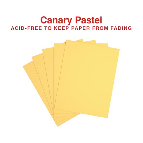 Staples 30% Recycled, 8.5 x 11 Inch, 20 lbs, 500-Sheets Pack, Canary, For Office, School & Home - style: Canary