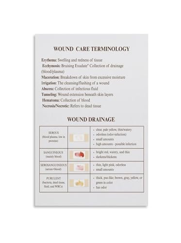 Human Body Systems Educational Poster Anatomy and Physiology Chart Biology Science Canvas Wall Art for Classroom Office Decor(Unframed,12x18inch(30x45cm)) - color: Unframed, size: 12x18inch(30x45cm)