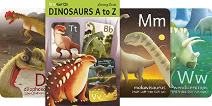 Dinosaur ABC Flash Cards, Alphabet A to Z Dinosaurs flashcards for Kids 4-8 Years, Dinos Picture Learning Cards, Dino Flash Card for Pre-K, Children: Set of 26 FlashCards