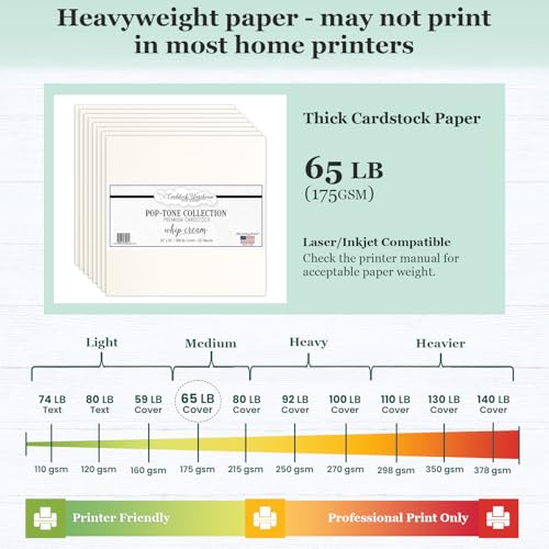 Cardstock Warehouse Pop-Tone Whip Cream Card Stock Paper - 25 Sheets, 12 x 12" - 65 lb / 175 GSM Premium Cream Card Stock for Die-cutting, Crafts, Scrapbooking, Card Making and DIY Projects - color: Whip Cream
