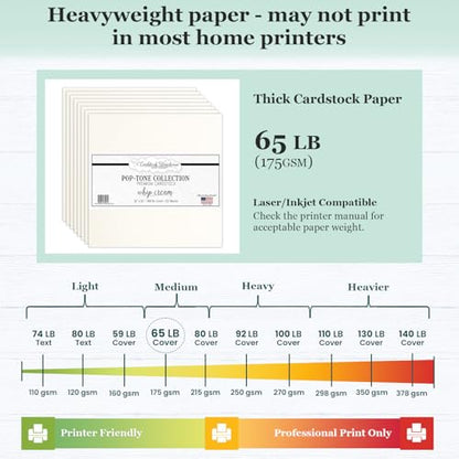 Cardstock Warehouse Pop-Tone Whip Cream Card Stock Paper - 25 Sheets, 12 x 12" - 65 lb / 175 GSM Premium Cream Card Stock for Die-cutting, Crafts, Scrapbooking, Card Making and DIY Projects - color: Whip Cream