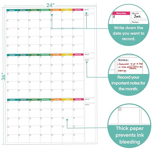 24" x 36" Dry Erase Wall Calendar large - Undated 3-Month Agenda Planner Calendar, Erasable and Reusable Whiteboard, 20 non-mark round double-sided glue, Vertical Layout for Office, Classroom, or Home