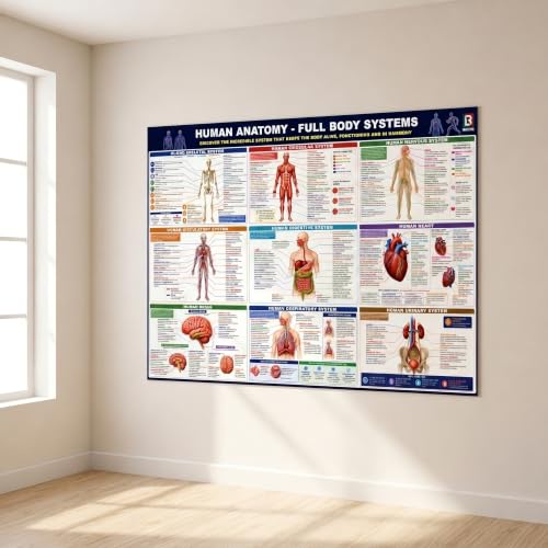 Human Anatomy Poster 54x36'' – Full Body Systems Anatomy Chart Skeletal, Muscular, Nervous, Circulatory, Digestive, Respiratory & Urinary Systems, Brain and Heart Anatomy for Classroom & Homeschool - 175 gsm Matte Paper