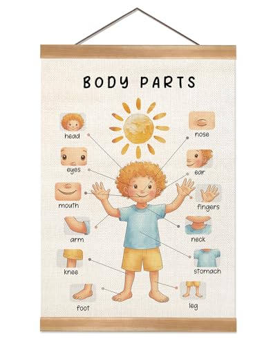 ZTGDA Body Parts Wall Art Poster, Body Cognitive Nursery Wall Art, Kindergarten Teaching Supplies,Cute Playroom Decor,Kids Room Decor Poster 12x16inch(Boys) - color: Boys