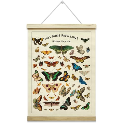Butterfly Poster Hanger Frame, Colorful Rustic Style Wall Hanging Decor, Canvas Poster with Wood Frame, Home Office Bedroom Living Room Wall Decor, 12x16 Inches -32 - color: Butterfly
