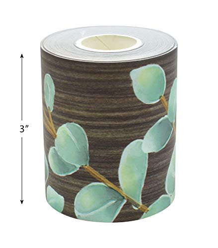 Teacher Created Resources Eucalyptus Straight Rolled Border Trim - 50ft - Decorate Bulletin Boards, Walls, Desks, Windows, Doors, Lockers, Schools, Classrooms, Homeschool & Offices