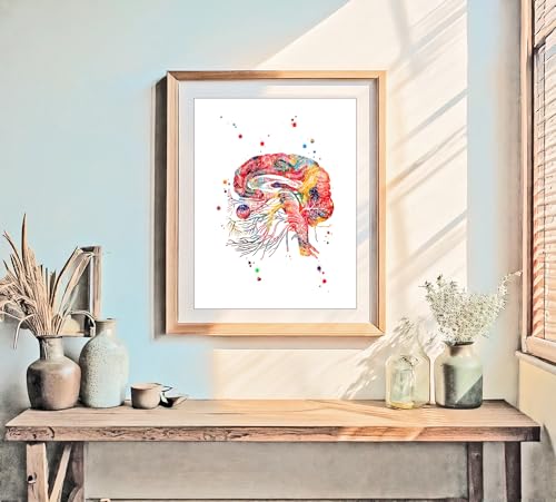 Watercolor Brain Cranial Nerves Brainstem Diagram Illustration Art Print for Neurology Classroom Display, Biology Lab Inspiration, Medical Office Study Desk Dorm Science Wall Art, Med Student Neurologist Anatomy Teacher Science Enthusiast Graduation Neura