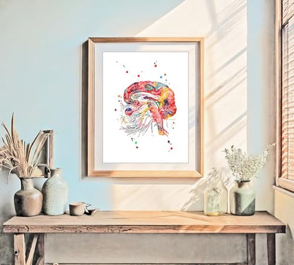 Watercolor Brain Cranial Nerves Brainstem Diagram Illustration Art Print for Neurology Classroom Display, Biology Lab Inspiration, Medical Office Study Desk Dorm Science Wall Art, Med Student Neurologist Anatomy Teacher Science Enthusiast Graduation Neura