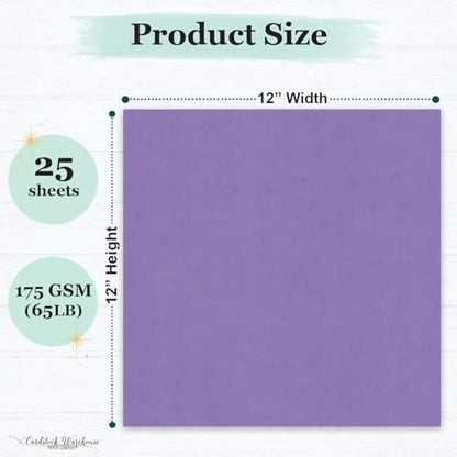 Cardstock Warehouse Pop-Tone Grape Jelly Purple Cardstock Paper – 25 Sheets, 12 x 12" - 65 lb / 175 GSM Premium Purple Card Stock for Die-cutting, Scrapbooking, Card Making & DIY Projects - color: Grape Jelly Purple