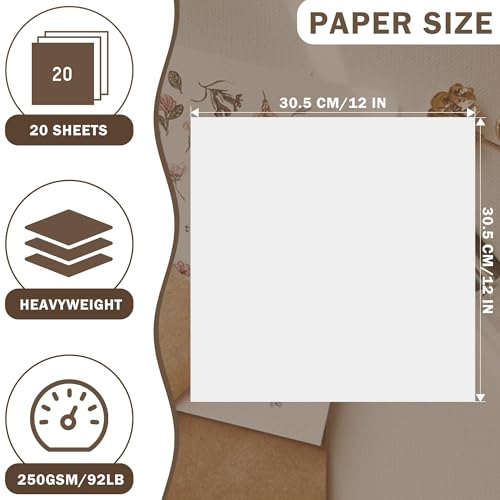 20 Sheets White Cardstock 12" x 12" Card Stock 250gsm/92lb Thick Construction Paper for Cricut, Scrapbook, Crafts, Card Making UAP34WH20 - color: White