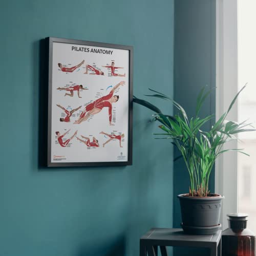 Anatomy Lab Pilates Anatomy Poster, LAMINATED, Pilates Wall Chart, 17.3 x 22.5 Inches, Anatomy and Physiology, Wall Pilates Exercise Chart, Workout Poster, Made - color: Pilates