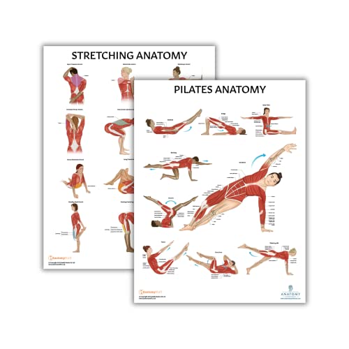 Anatomy Lab Stretching and Pilates Anatomy Posters Set - 2 PACK LAMINATED, 17.3 x 22.5 Inches, Body Chart, Pilates Wall Chart and Stretching Posters for Wall - color: Pilates + Stretching
