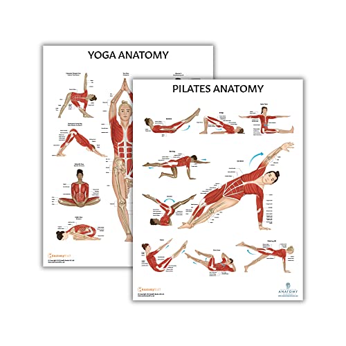 Anatomy Lab Yoga, Pilates Anatomy Poster Set - 2 PACK LAMINATED, 17.3 x 22.5 Inches, Body Chart, Premium Wall Pilates Exercise Chart and Yoga Posters for Wall - color: Yoga + Pilates