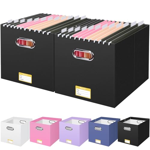 BALEINE File Organizer Box, Cardboard File Folder Organizer with Handle for Letter Size, Portable Collapsible Hanging Filing Box for Home Office Document Storage (2 Pack, Large Black) - color: Black, style: 2PK