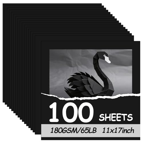OcePor 100 Sheets Black Cardstock 12” x 12”, 65lb/180gsm Black Card Stock, Thick Card Stock Paper, Heavy Cardstock Paper for Printer, Resume, Scrapbooks, Art, Crafts, Business Cards - color: Black-100Sheets, size: 12x12