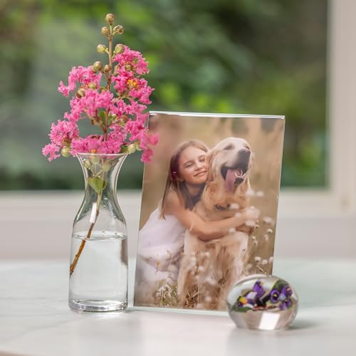 Snap 5x7 Clear Picture Frame 12 Pack: Frameless L-Shape Desktop Stand, Photo Frame and Sign Holder, Clear Acrylic Style Tabletop Display, 5 x 7 - size: 7" x 5"