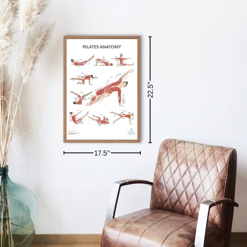 Anatomy Lab Pilates Anatomy Poster, LAMINATED, Pilates Wall Chart, 17.3 x 22.5 Inches, Anatomy and Physiology, Wall Pilates Exercise Chart, Workout Poster, Made - color: Pilates