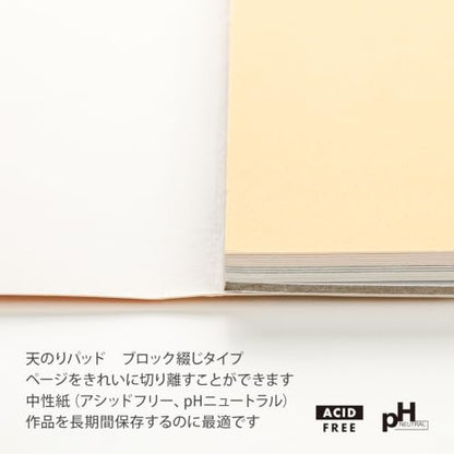 Clairefontaine 96016C Pastelmat, glued pad, 18x24cm, 18 x 24 cm, Assorted Colours - size: 18 x 24 cm, style: Card Pad No 1