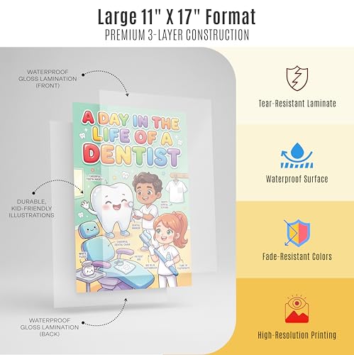 JELLY BEAN GENIUS Dentist and Veterinarian Poster for Kids – Laminated Double-Sided Community Helpers Career Wall Art & Educational Chart | Community Helpers Educational Chart 11x17 - size: 11x17 Poster