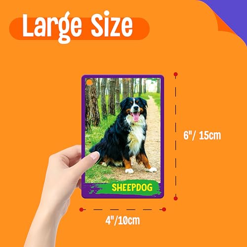 My First 120 Animals, 60PCS Realistic Zoo Animal Cards Farm/Wild/Marine Animals/Insects/Birds Flashcards Montessori & Science Educational Toys Preschool Learning for Homeschool Preschool Toddler Kids - style: Animal Cards