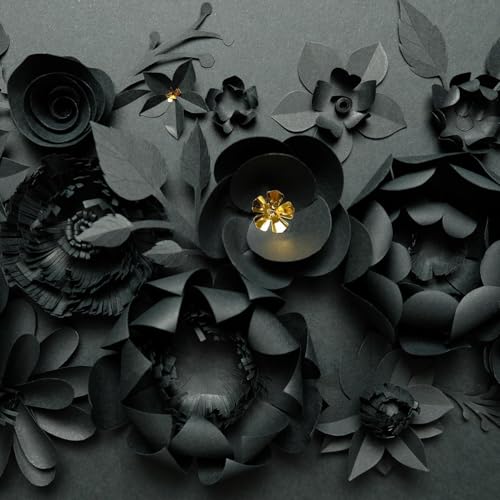 Accent Design Paper Accents Variety Pack, Back in Black Cardstock, 12x12 Inch, 10 Sheets, 5 Different Black Cardstocks, Scrapbooking Cards and Crafts - color: Back in Black