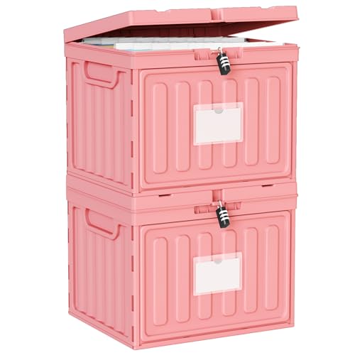 2 Drawer File Cabinets,Plastic File Box for Letter Size Hanging File Folders, Easy Carry Small File Cabinet for Home, Office, School,Stackable Storage Filling Box, Pink - color: Pink, size: 2 Pack