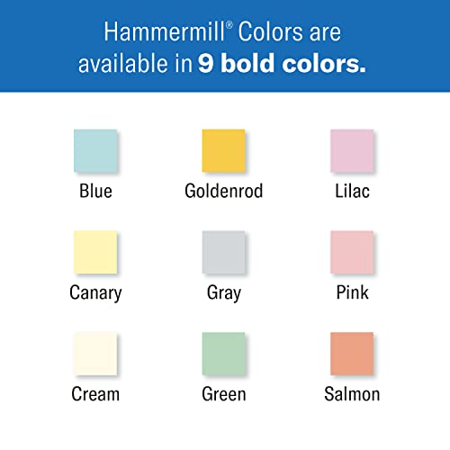 Hammermill 20 lb Pink Printer Paper, 8.5 x 11-3 Ream (1,500 Sheets) - Made in The USA, Pastel - color: Pink, size: 3 Ream | 1500 Sheets, style: Letter (8.5x11)