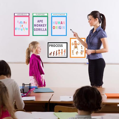 46 Sheets VinTS Self Adhesive Science Fair Display Boards Supplies Included 21 Presentation Science Subtitles 6 Project Titles 19 Stickers for School Office Colorful