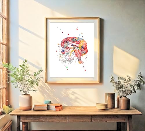 Watercolor Brain Cranial Nerves Brainstem Diagram Illustration Art Print for Neurology Classroom Display, Biology Lab Inspiration, Medical Office Study Desk Dorm Science Wall Art, Med Student Neurologist Anatomy Teacher Science Enthusiast Graduation Neura